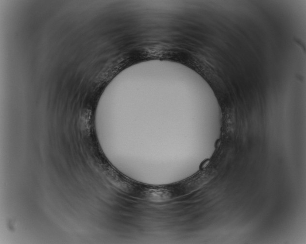 X0000101220275200807181559