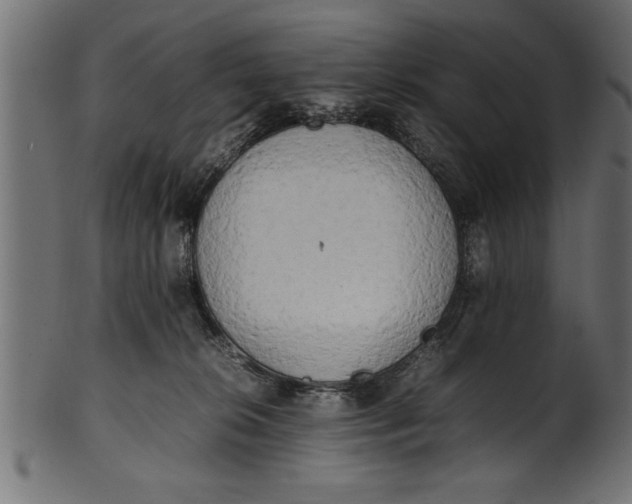 X0000101220276200807181559
