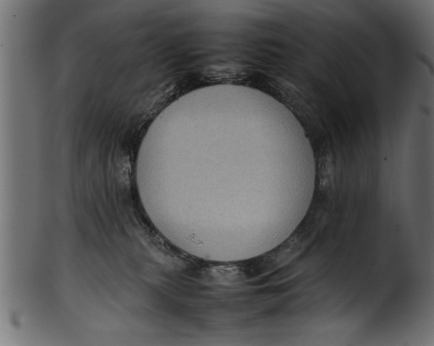 X0000101220279200807181559
