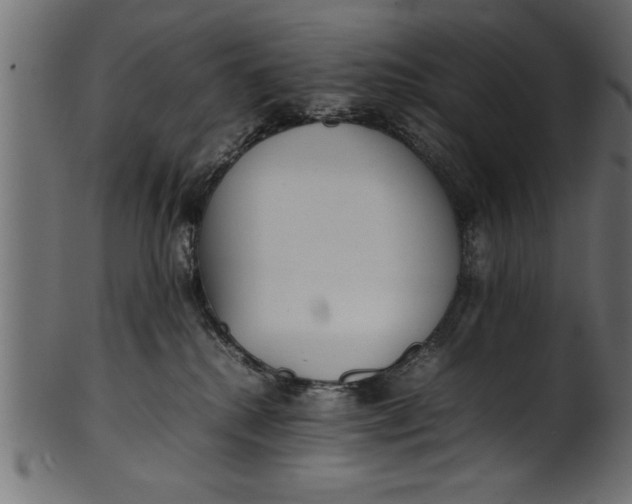 X0000101220280200807181559