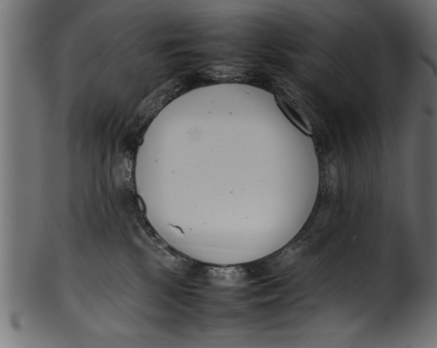 X0000101220281200807181559