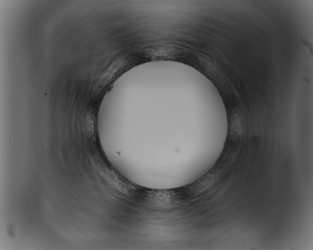 X0000101220282200807181559