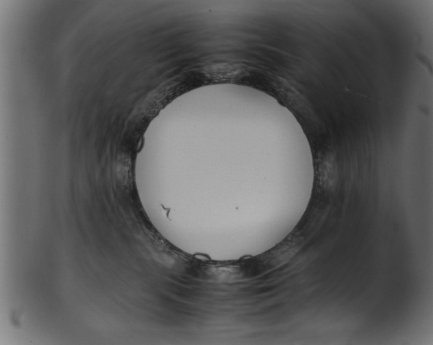 X0000101220283200807181559