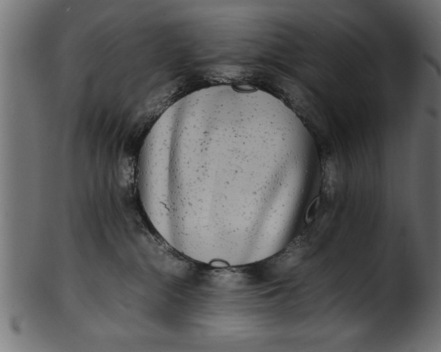 X0000101220284200807181559