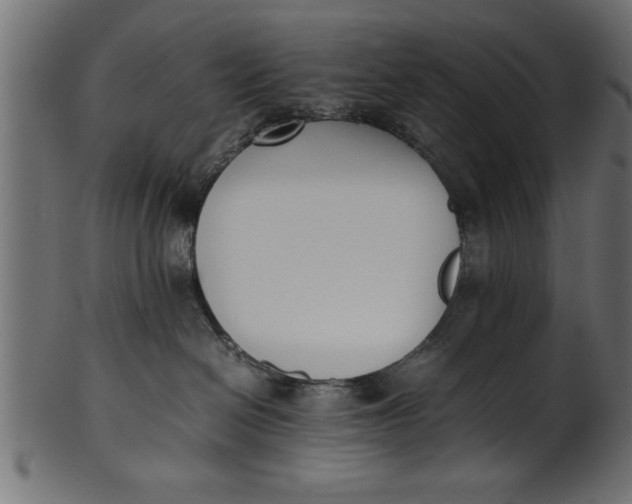 X0000101220286200807181559