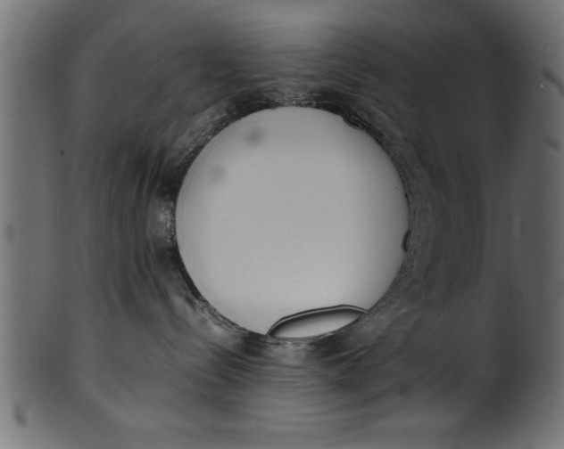X0000101220288200807181559