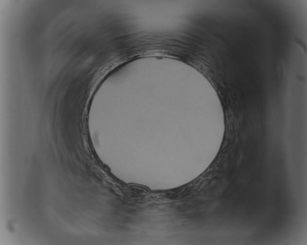 X0000101220289200807181558