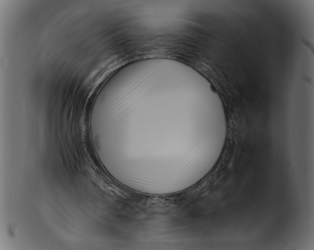 X0000101220290200807181558