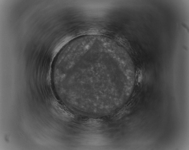 X0000101220292200807181558