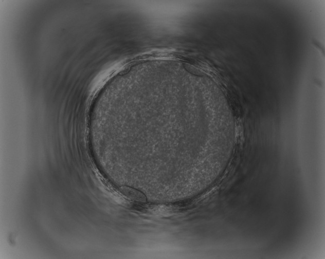 X0000101220293200807181558