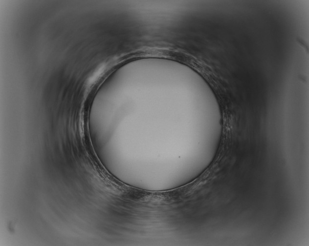 X0000101220294200807181558