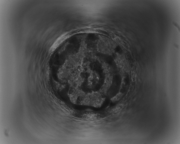 X0000101220295200807181558