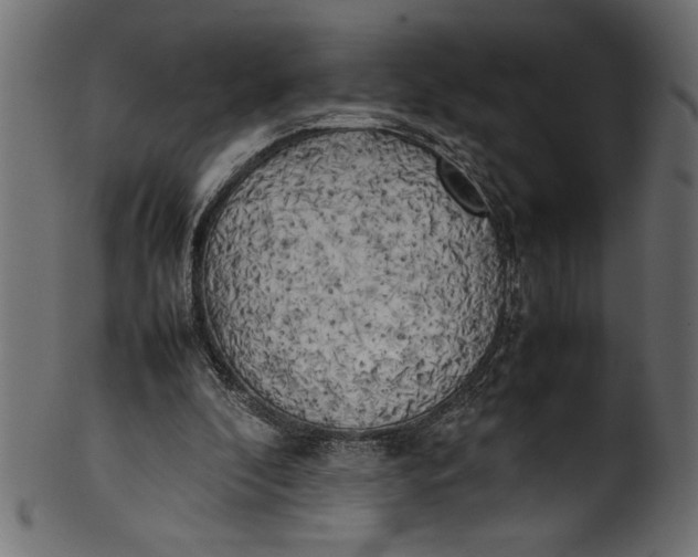 X0000101220296200807181558