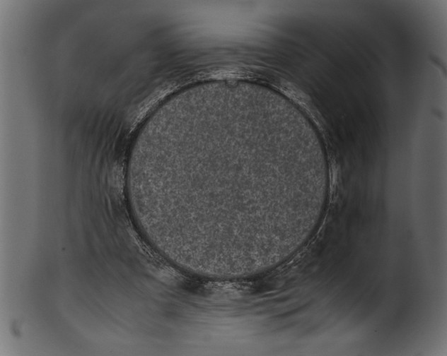 X0000101220297200807181558