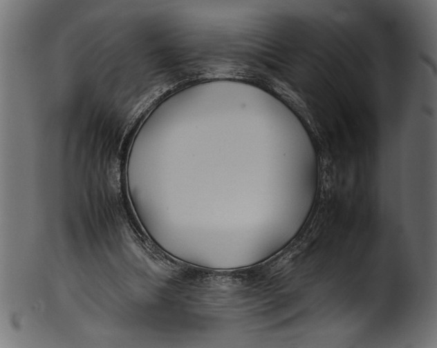 X0000101220298200807181558