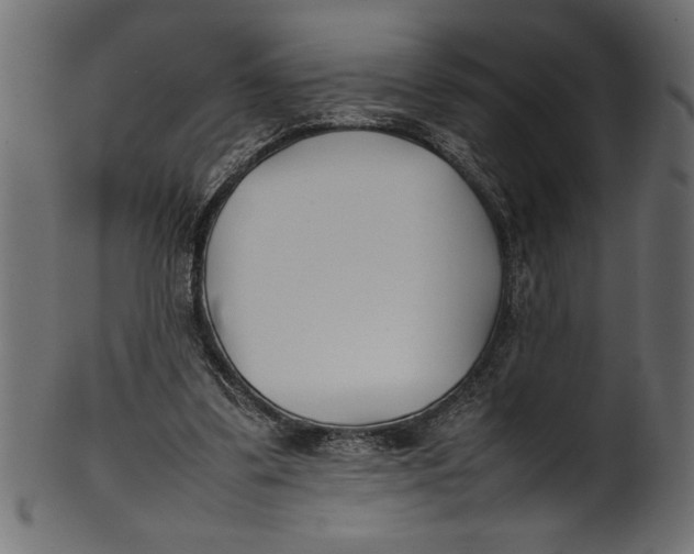 X0000101220299200807181558