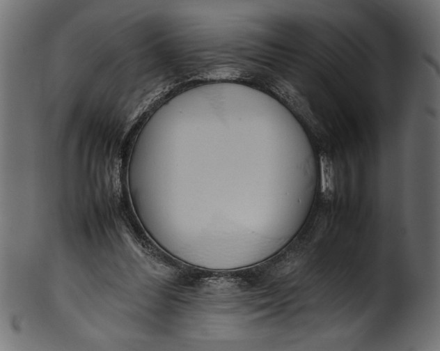 X0000101220300200807181558