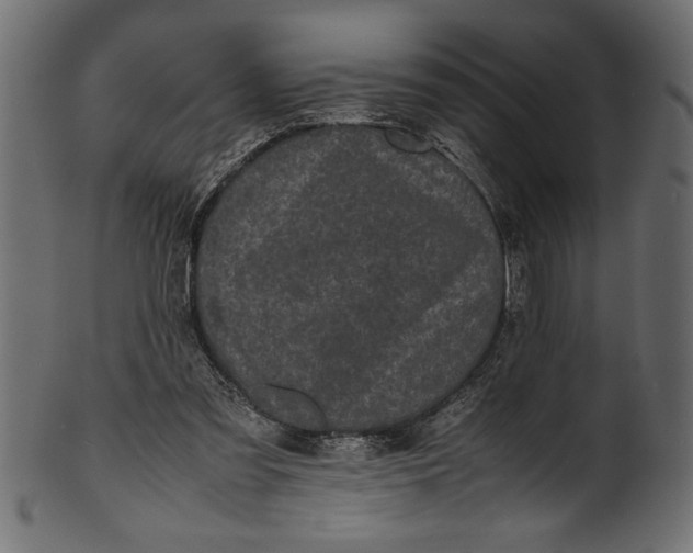 X0000101220301200807181558