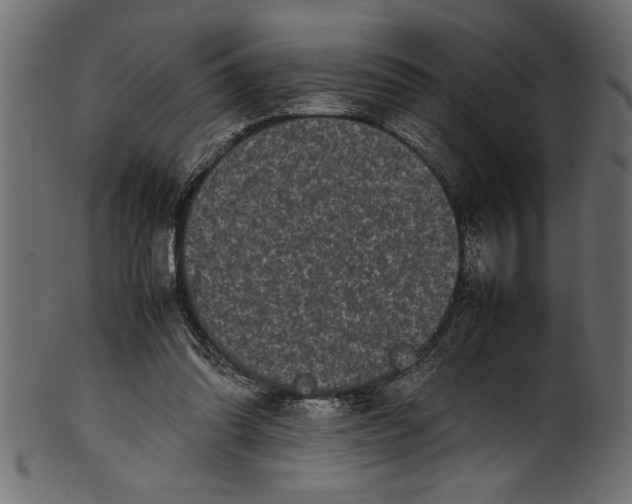 X0000101220302200807181558
