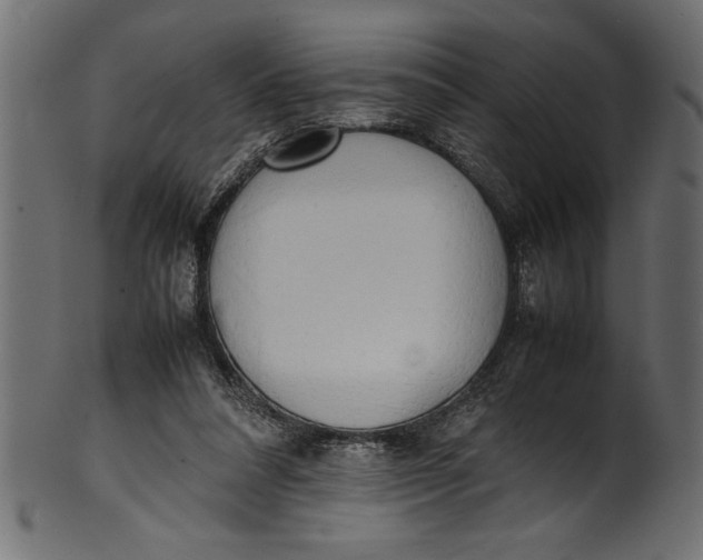 X0000101220304200807181558
