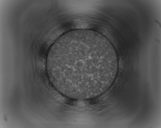 X0000101220305200807181558