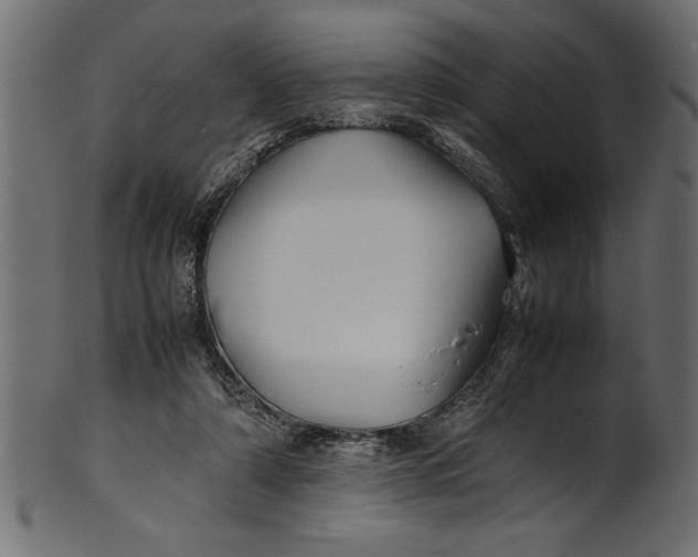 X0000101220306200807181558