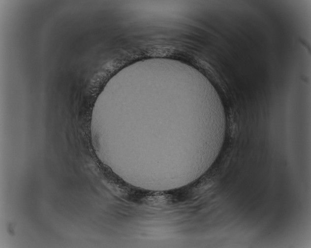 X0000101220307200807181558