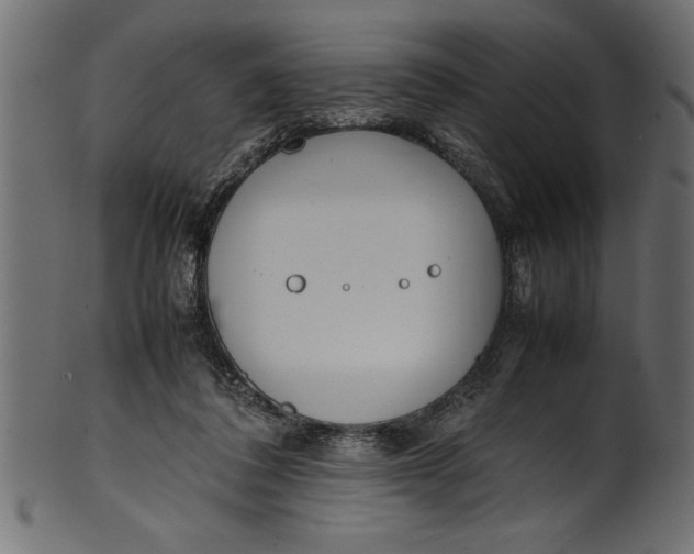 X0000101220308200807181558