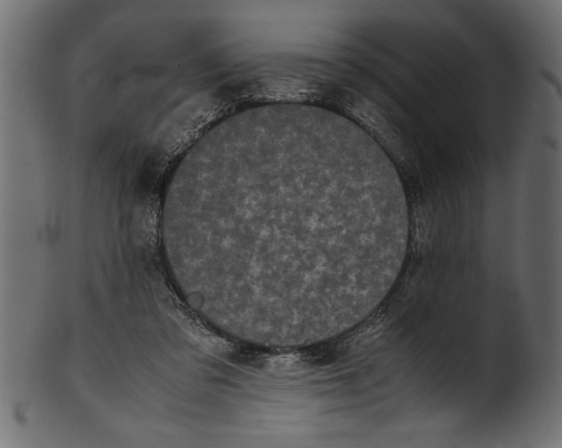 X0000101220309200807181558