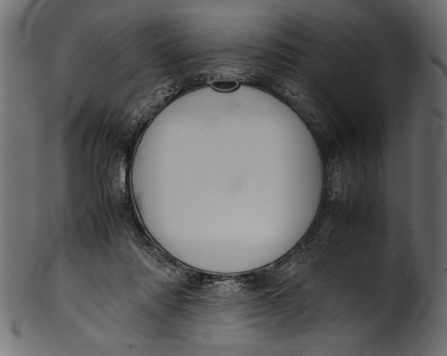 X0000101220310200807181558