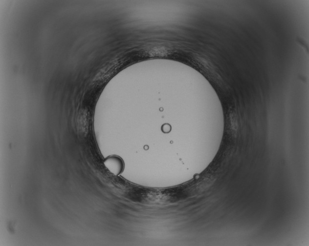 X0000101220311200807181558