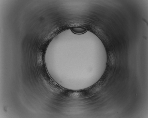 X0000101220312200807181558