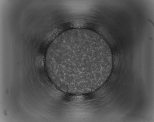 X0000101220313200807181558