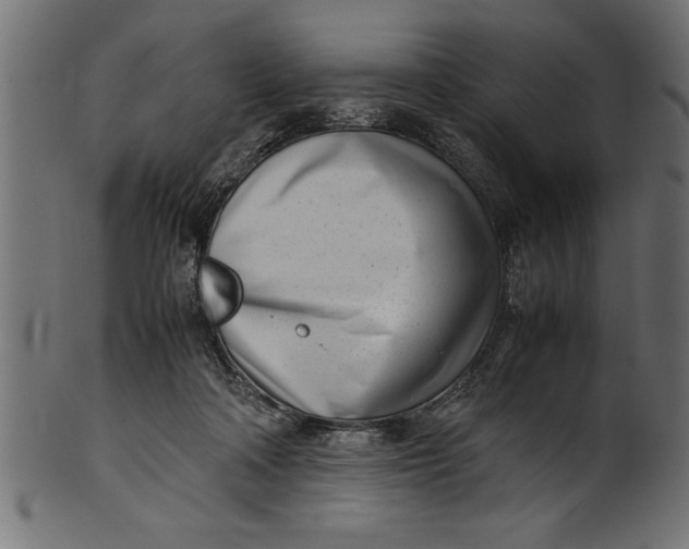 X0000101220314200807181558
