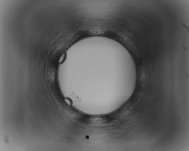 X0000101220315200807181558