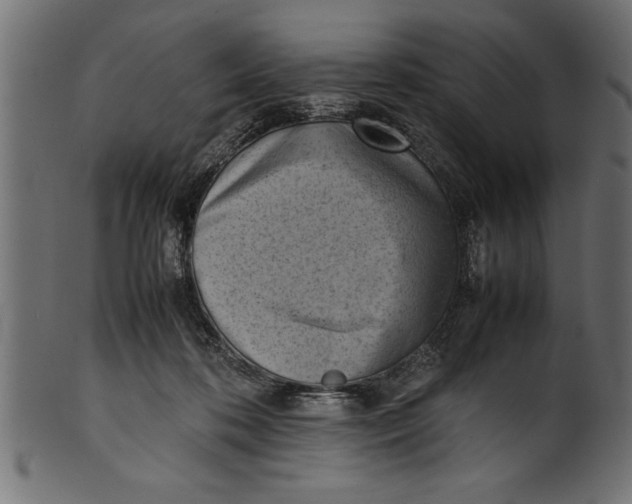X0000101220316200807181558