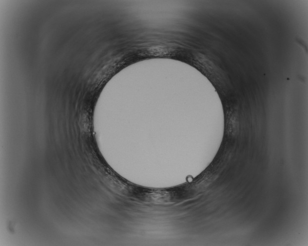 X0000101220317200807181558
