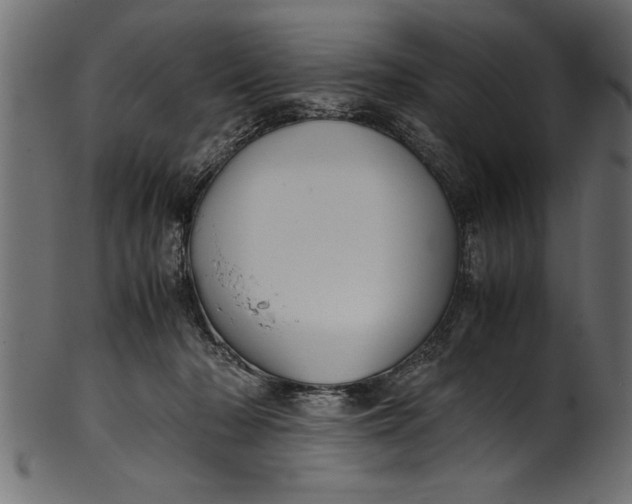 X0000101220318200807181558