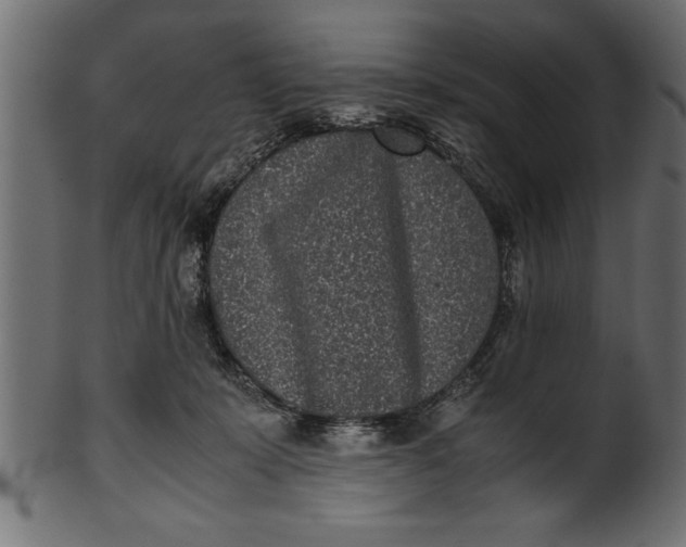 X0000101220319200807181558