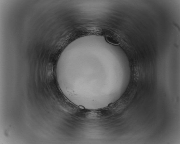 X0000101220320200807181557