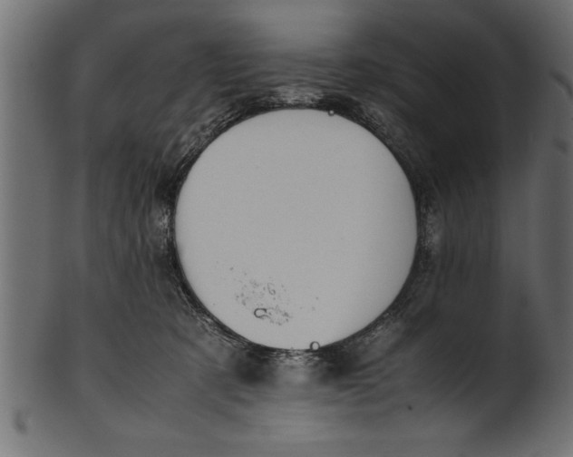 X0000101220321200807181557
