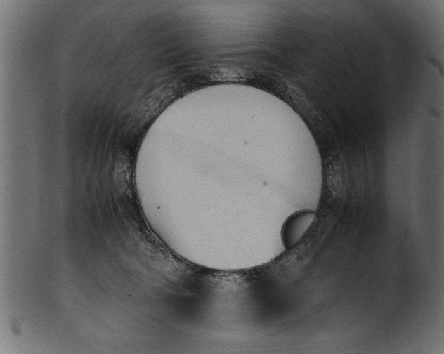 X0000101220322200807181557