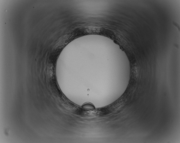 X0000101220323200807181557