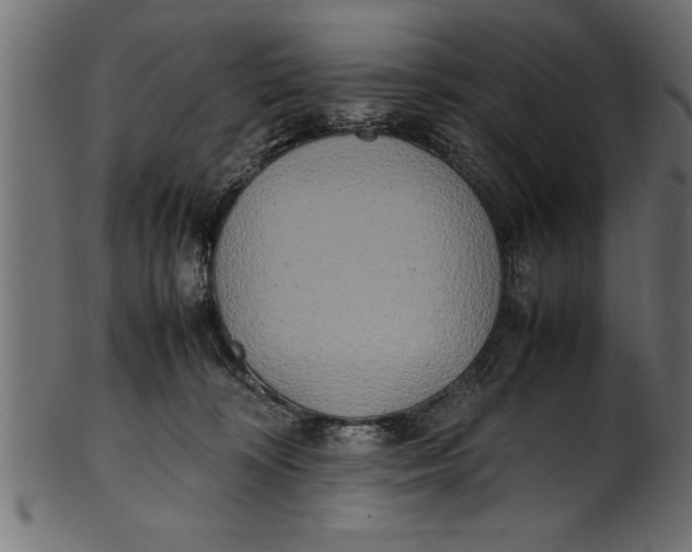 X0000101220324200807181557