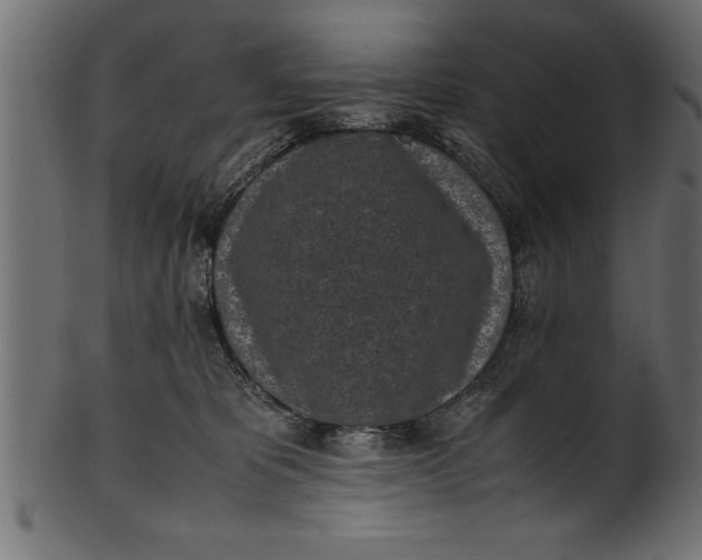 X0000101220325200807181557