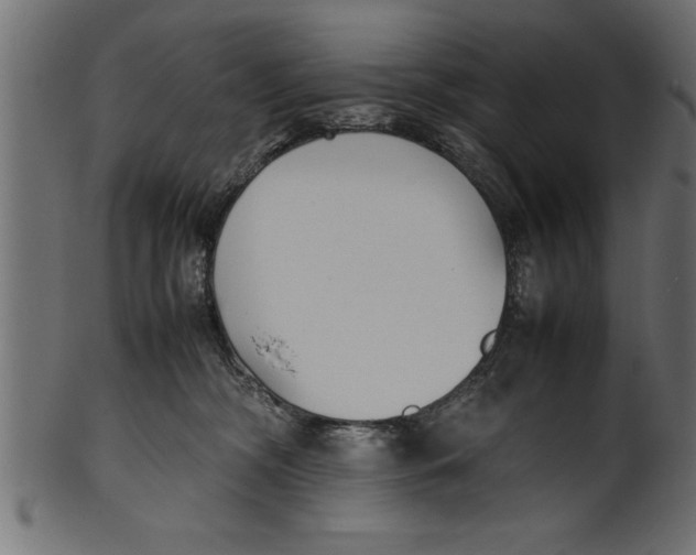 X0000101220326200807181557