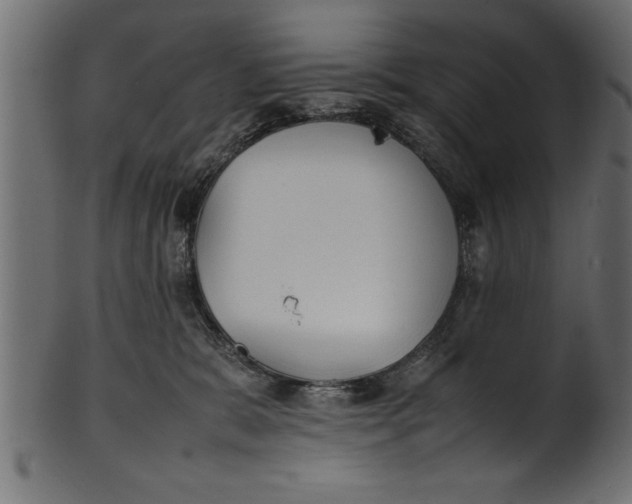 X0000101220327200807181557
