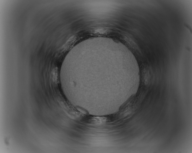 X0000101220328200807181557