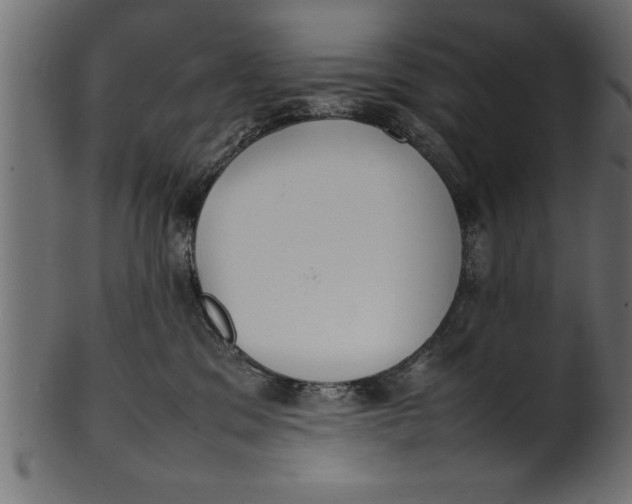 X0000101220329200807181557