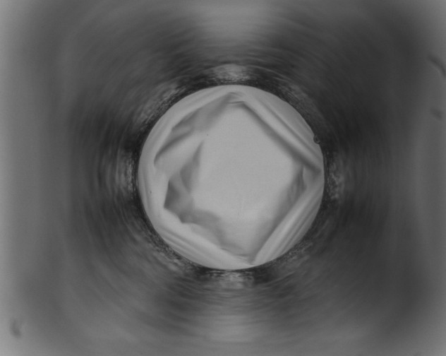 X0000101220330200807181557